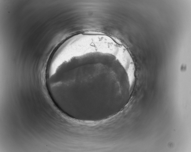 X0000102000002200808151458