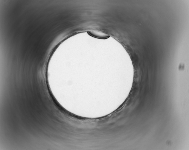 X0000102000004200808151458