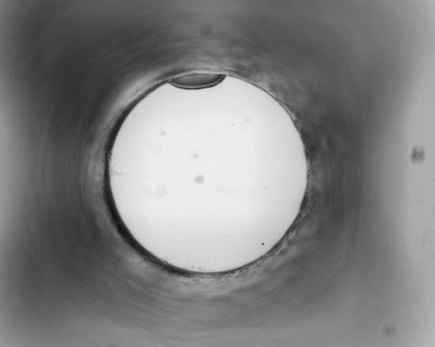 X0000102000005200808151458