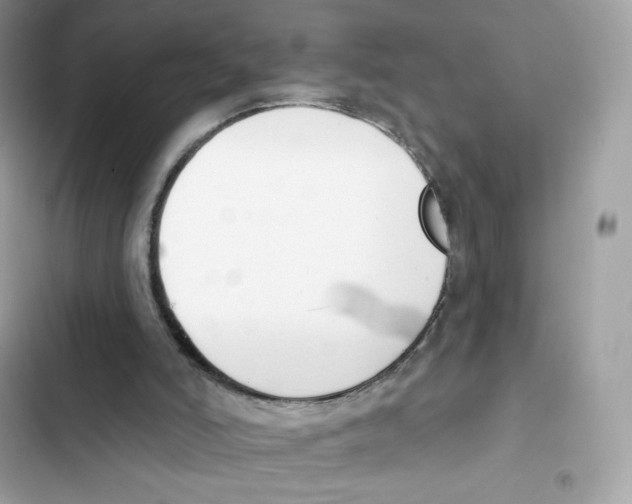 X0000102000006200808151458