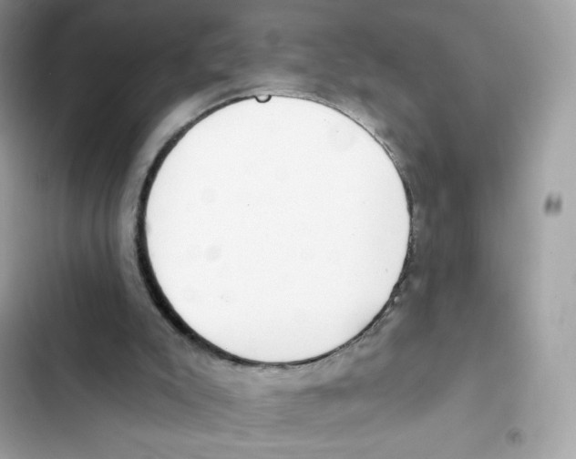 X0000102000007200808151458