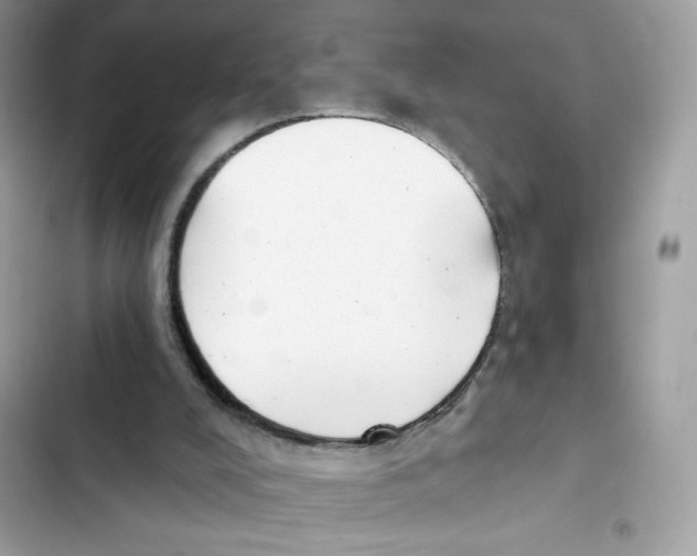 X0000102000008200808151458