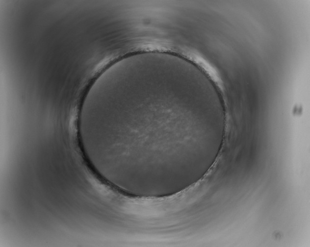 X0000102000009200808151458