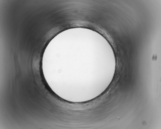 X0000102000010200808151458