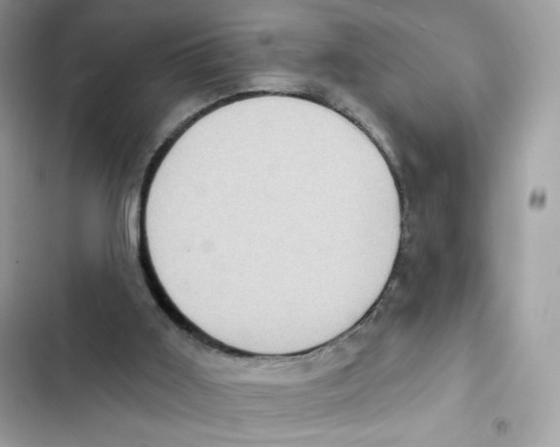 X0000102000011200808151458