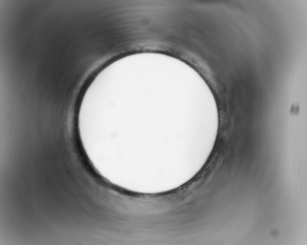 X0000102000012200808151458