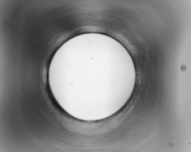 X0000102000014200808151458