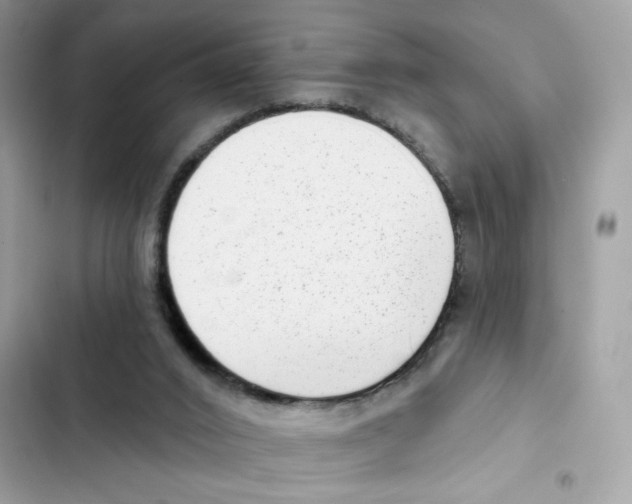 X0000102000016200808151458