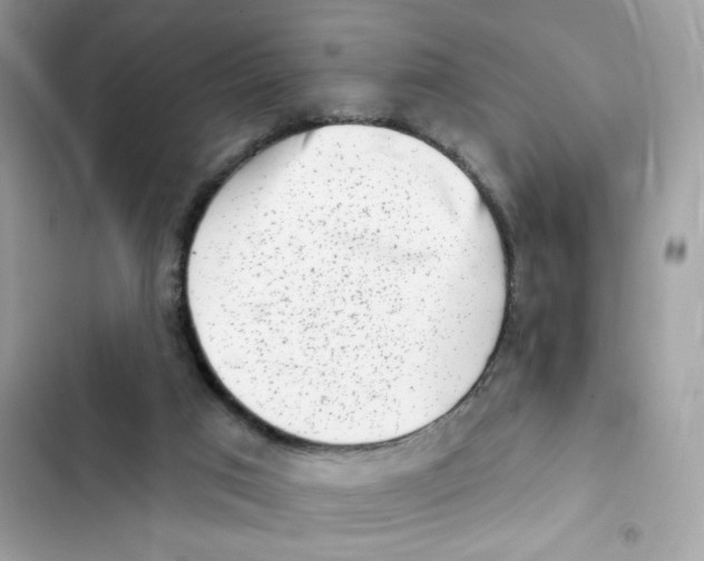 X0000102000017200808151458