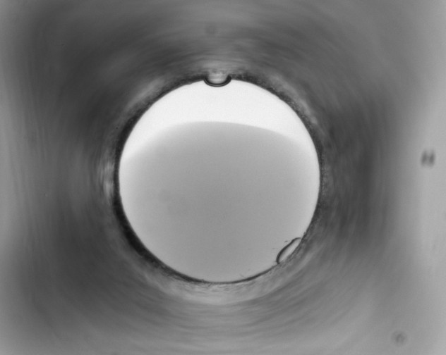 X0000102000019200808151458