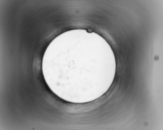 X0000102000021200808151458