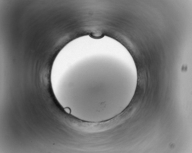 X0000102000023200808151458