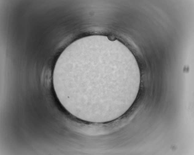 X0000102000024200808151458