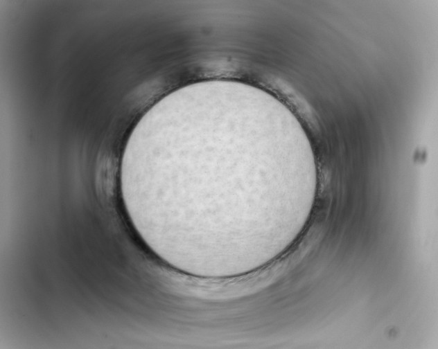 X0000102000026200808151458