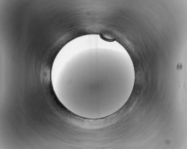 X0000102000027200808151458