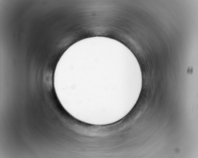 X0000102000028200808151458