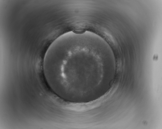 X0000102000029200808151458