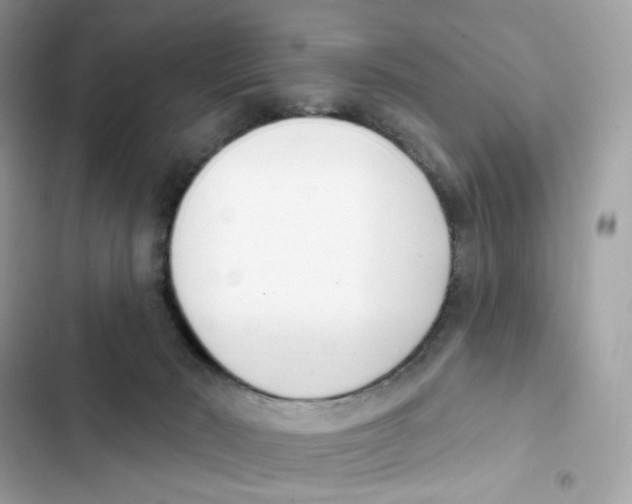 X0000102000030200808151458