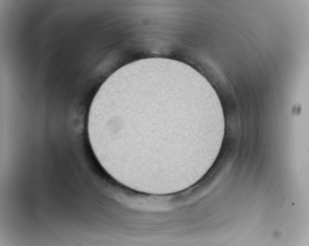 X0000102000032200808151458