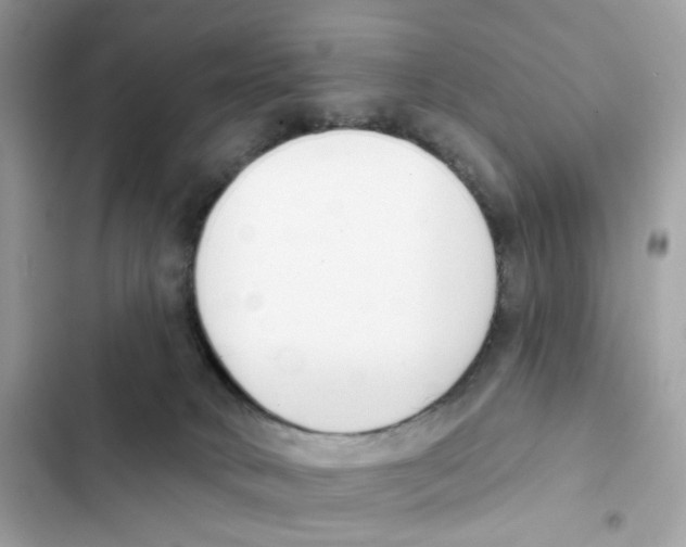 X0000102000034200808151458