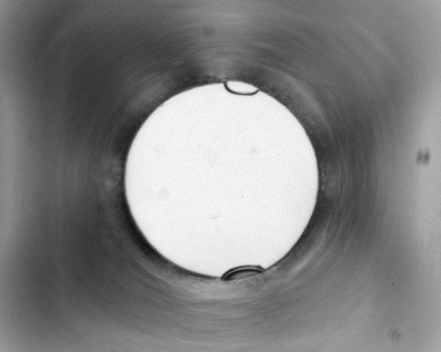 X0000102000036200808151458