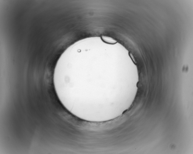 X0000102000037200808151458