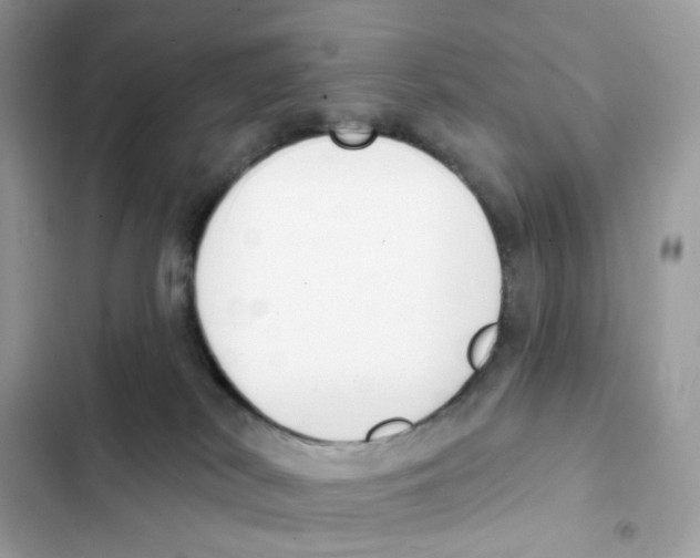 X0000102000038200808151458