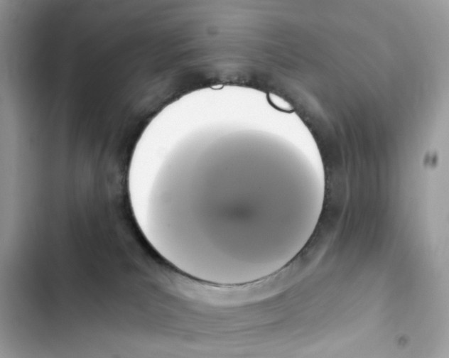 X0000102000039200808151458