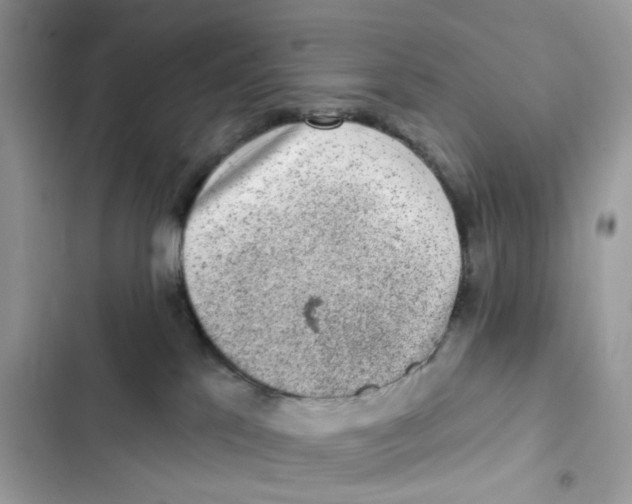 X0000102000041200808151457