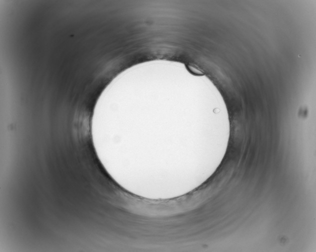 X0000102000042200808151457