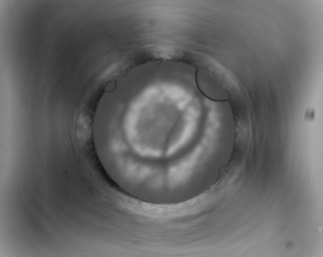 X0000102000043200808151457