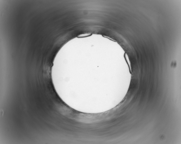 X0000102000045200808151457