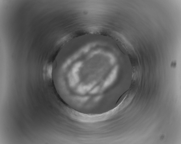 X0000102000047200808151457