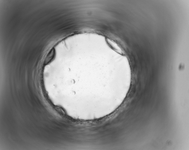 X0000102000049200808151457