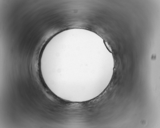 X0000102000050200808151457