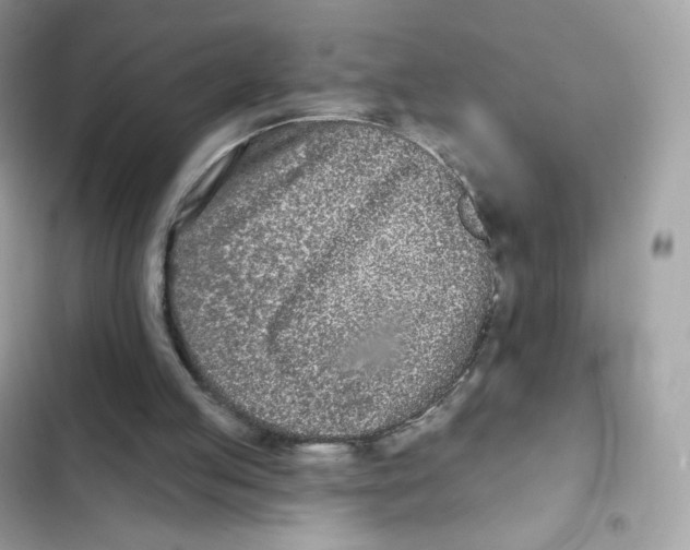 X0000102000053200808151457