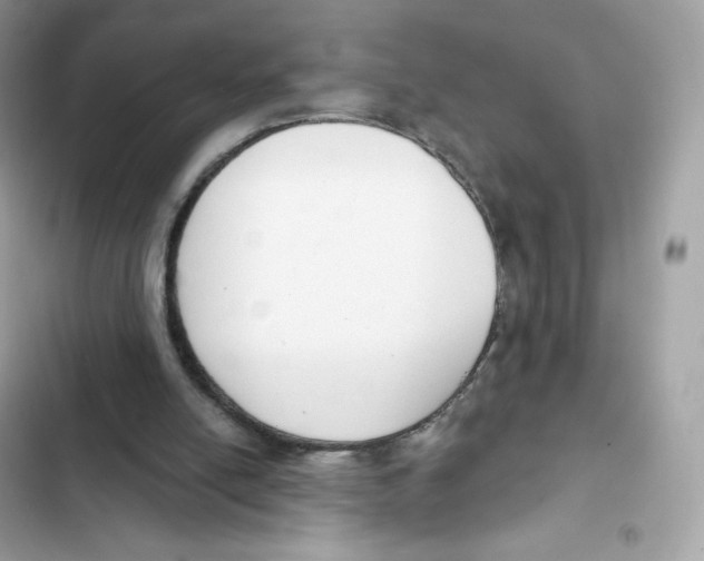 X0000102000054200808151457