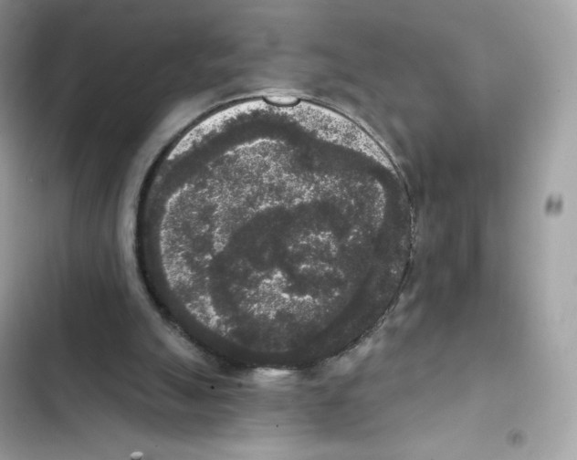 X0000102000055200808151457