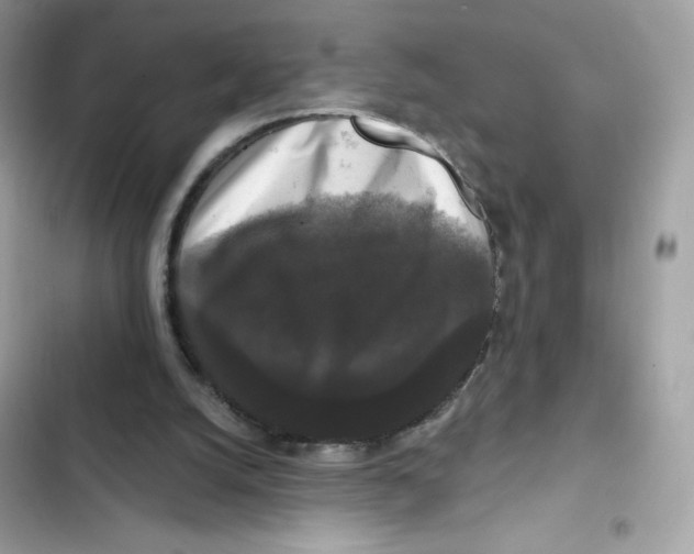 X0000102000056200808151457