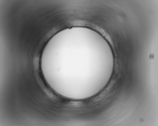 X0000102000057200808151457