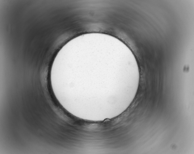 X0000102000058200808151457