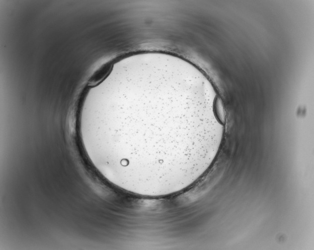 X0000102000060200808151457