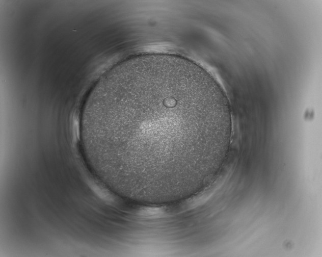 X0000102000061200808151457