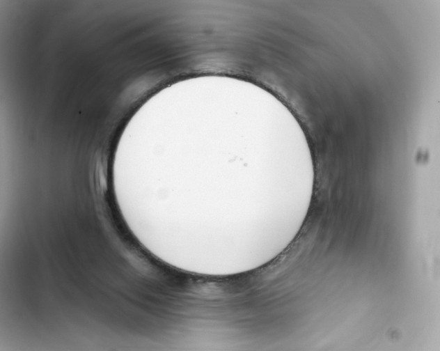 X0000102000062200808151457