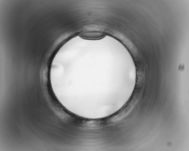 X0000102000064200808151457