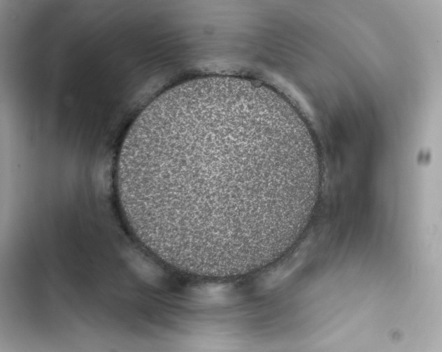 X0000102000065200808151457