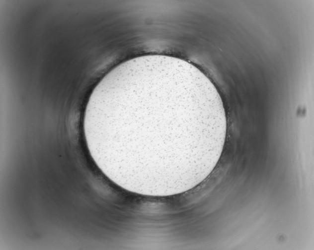 X0000102000066200808151457