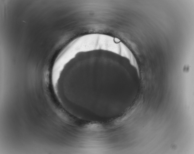 X0000102000067200808151457