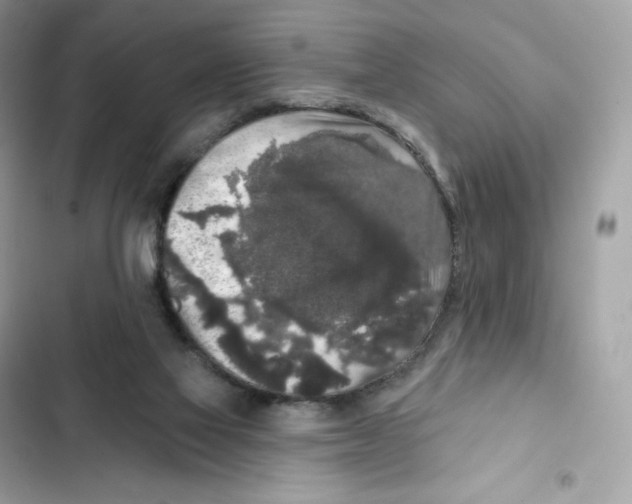 X0000102000069200808151457