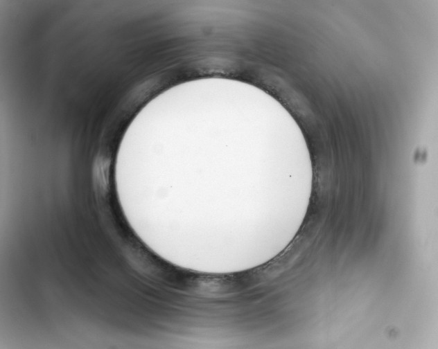 X0000102000070200808151457